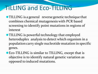 TILLING and Eco-TILLING
⚫TILLING is a general reversegenetic technique that
combines chemical mutagenesis with PCR based
screening to identify point mutations in regions of
interest
⚫TILLING is powerful technology that employed
heteroduplex analysis to detect which organism in a
populationcarry single nucleotide mutation in specific
genes.
⚫Eco-TILLING is similar to TILLING, except that is
objective is to identify natural genetic variation as
opposed to induced mutations.
 