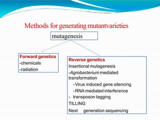 Methods forgeneratingmutantvarieties
mutagenesis
Forward genetics
-chemicals
-radiation
Reverse genetics
Insertional mutagenesis
-Agrobacterium mediated
transformation
-Virus induced gene silencing
-RNA mediated interference
- transposon tagging
TILLING
Next generation sequencing
 