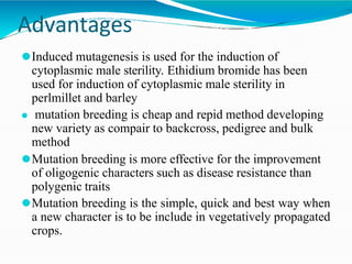 Advantages
⚫Induced mutagenesis is used for the induction of
cytoplasmic male sterility. Ethidium bromide has been
used for induction of cytoplasmic male sterility in
perlmillet and barley
⚫ mutation breeding is cheap and repid method developing
new variety as compair to backcross, pedigree and bulk
method
⚫Mutation breeding is more effective for the improvement
of oligogenic characters such as disease resistance than
polygenic traits
⚫Mutation breeding is the simple, quick and best way when
a new character is to be include in vegetatively propagated
crops.
 