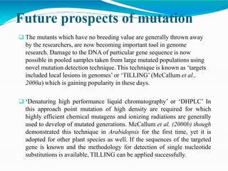 Future prospects of mutation
 The mutants which have no breeding value are generally thrown away
by the researchers, are now becoming important tool in genome
research. Damage to the DNA of particular gene sequence is now
possible in pooled samples taken from large mutated populations using
novel mutation detection technique. This technique is known as ‘targets
included local lesions in genomes’ or ‘TILLING’ (McCallum et al.,
2000a) which is gaining popularity in these days.
 ‘Denaturing high performance liquid chromatography’ or ‘DHPLC’ In
this approach point mutation of high density are required for which
highly efficient chemical mutagens and ionizing radiations are generally
used to develop of mutated generations. McCallum et al. (2000b) though
demonstrated this technique in Arabidopsis for the first time, yet it is
adopted for other plant species as well. If the sequences of the targeted
gene is known and the methodology for detection of single nucleotide
substitutions is available, TILLING can be applied successfully.
 