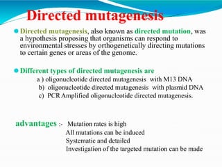 Directed mutagenesis
⚫Directed mutagenesis, also known as directed mutation, was
a hypothesis proposing that organisms can respond to
environmental stresses by orthogenetically directing mutations
to certain genes or areas of the genome.
⚫Different types of directed mutagenesis are
a ) oligonucleotide directed mutagenesis with M13 DNA
b) oligonucleotide directed mutagenesis with plasmid DNA
c) PCRAmplified oligonucleotide directed mutagenesis.
advantages :- Mutation rates is high
All mutations can be induced
Systematic and detailed
Investigation of the targeted mutation can be made
 