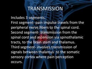 TRANSMISSION
Includes 3 segments.
First segment- pain impulse travels from the
peripheral nerve fibers to the spinal cord.
Second segment- transmission from the
spinal cord and ascension via spinothalamic
tracts, to the brain stem and thalamus.
Third segment- involves transmission of
signals between thalamus to the somatic
sensory cortex where pain perception
occurs.

 