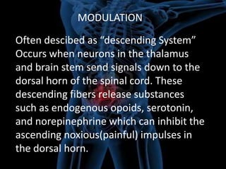 MODULATION
Often descibed as “descending System”
Occurs when neurons in the thalamus
and brain stem send signals down to the
dorsal horn of the spinal cord. These
descending fibers release substances
such as endogenous opoids, serotonin,
and norepinephrine which can inhibit the
ascending noxious(painful) impulses in
the dorsal horn.

 