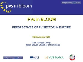 PVs in BLOOMPVs in BLOOM
PERSPECTIVES OF PV SECTOR IN EUROPE
23 November 201023 November 2010
Dott. Giorgio Dovigi
Italian-Slovak Chamber of Commerce
 