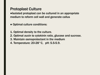 Protoplast Culture
●Isolated protoplast can be cultured in an appropriate
medium to reform cell wall and generate callus
● Optimal culture conditions:
1. Optimal density to the culture.
2. Optimal auxin to cytokinin ratio, glucose and sucrose.
3. Maintain osmoprotectant in the medium
4. Temperature: 20-28°C, pH: 5.5-5.9.
 
