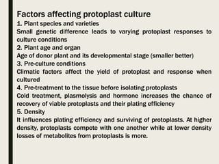 Factors affecting protoplast culture
1. Plant species and varieties
Small genetic difference leads to varying protoplast responses to
culture conditions
2. Plant age and organ
Age of donor plant and its developmental stage (smaller better)
3. Pre-culture conditions
Climatic factors affect the yield of protoplast and response when
cultured
4. Pre-treatment to the tissue before isolating protoplasts
Cold treatment, plasmolysis and hormone increases the chance of
recovery of viable protoplasts and their plating efficiency
5. Density
It influences plating efficiency and surviving of protoplasts. At higher
density, protoplasts compete with one another while at lower density
losses of metabolites from protoplasts is more.
 