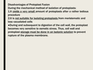 Disadvantages of Protoplast Fusion
During the mechanical method of isolation of protoplasts:
1.It yields a very small amount of protoplasts after a rather tedious
procedure
2.It is not suitable for isolating protoplasts from meristematic and
less vacuolated cells
●During and subsequent to digestion of the cell wall, the protoplast
becomes very sensitive to osmotic stress. Thus, cell wall and
protoplast storage must be done in an isotonic solution to prevent
rupture of the plasma membrane.
 