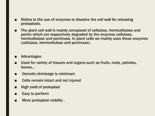 ■ Refers to the use of enzymes to dissolve the cell wall for releasing
protoplasts.
■ The plant cell wall is mainly composed of cellulose, hemicellulose and
pectin which are respectively degraded by the enzymes cellulase,
hemicellulase and pectinase. In plant cells we mainly uses these enzymes
(cellulase, hemicellulase and pectinase).
■ Advantages:
■ Used for variety of tissues and organs such as fruits, roots, petioles,
leaves…
■ Osmotic shrinkage is minimum
■ Cells remain intact and not injured
■ High yield of protoplast
■ Easy to perform
■ More protoplast viability .
 