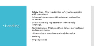 • Handling
 Safety first – Always priorities safety when working
with lab animals
 Calm environment- Avoid loud noises and sudden
movement.
 Gentle handling- Pay attention to their body
language.
 Familiarization- This helps them to feel more relaxed
and reduce stress.
 Observation – to understand their behavior.
 Training
 Hygien practice
 