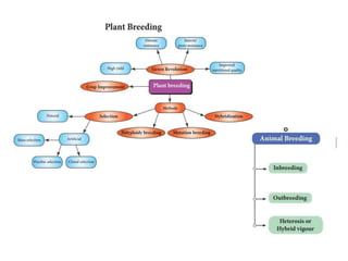 Breeding | PPTX