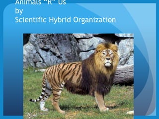 Animals “R” Us
by
Scientific Hybrid Organization
 