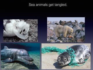 Sea animals get tangled.
 