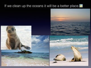 If we clean up the oceans it will be a better place.🏝
 