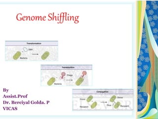 By
Assist.Prof
Dr. Berciyal Golda. P
VICAS
Genome Shiffling
 