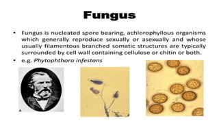 Key Pathagons Fundamentals of Plant Pathology: Key Pathogens and Diseases | PPTX
