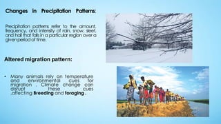 Changes in Precipitation Patterns:
Precipitation patterns refer to the amount,
frequency, and intensity of rain, snow, sleet,
and hail that falls in a particular region over a
givenperiodof time.
Altered migration pattern:
• Many animals rely on temperature
and environmental cues for
migration . Climate change can
disrupt these cues
,affecting Breeding and foraging .
 