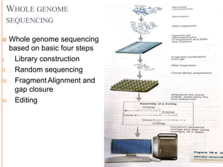 WHOLE GENOME
SEQUENCING
 Whole genome sequencing
based on basic four steps
I. Library construction
II. Random sequencing
III. Fragment Alignment and
gap closure
IV. Editing
 