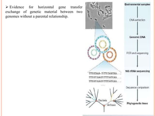  Evidence for horizontal gene transfer
exchange of genetic material between two
genomes without a parental relationship.
 