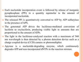  Each nucleotide incorporation event is followed by release of inorganic
pyrophosphate (PPi) in a quantity equimolar to the amount of
incorporated nucleotide.
 The released PPi is quantitatively converted to ATP by ATP sulfurylase
in the presence ofAPS.
 The generated ATP drives the luciferase-mediated conversion of
luciferin to oxyluciferin, producing visible light in amounts that are
proportional to the amount ofATPs.
 The light in the luciferase-catalyzed reaction with a maximum of 560
nm wavelength is then detected by a photon detection device such as a
charge coupled device (CCD) camera or photomultiplier.
 Apyrase is a nucleotide-degrading enzyme, which continuously
degradesATPand non-incorporated dNTPs in the reaction mixture.
 
