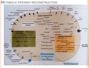 METABOLIC PATHWAY RECONSTRUCTION
 