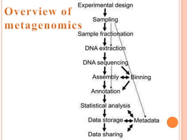 Metagenomics Method Metagenomics | PPTX | Biological Sciences | Science