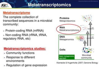 Metatranscriptomics | PPTX