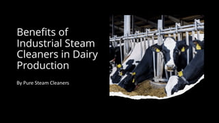Benefits of
Industrial Steam
Cleaners in Dairy
Production
By Pure Steam Cleaners
 