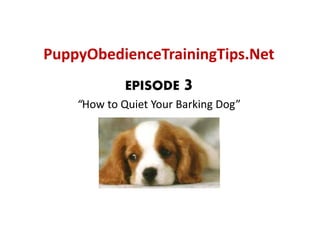 PuppyObedienceTrainingTips.Net
  ppy                g p
             EPISODE    3
    “How to Quiet Your Barking Dog”
 