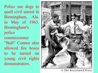 Police use dogs to
quell civil unrest in
Birmingham, Ala.
in May of 1963.
Birmingham's
police
commissioner
"Bull" Connor also
allowed fire hoses
to be turned on
young civil rights
demonstrators.
 