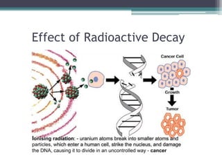 Effect of Radioactive Decay
 
