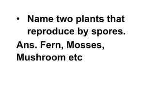 • Name two plants that
reproduce by spores.
Ans. Fern, Mosses,
Mushroom etc
 