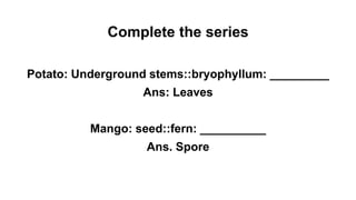 Complete the series
Potato: Underground stems::bryophyllum: _________
Ans: Leaves
Mango: seed::fern: __________
Ans. Spore
 