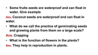 • Some fruits seeds are waterproof and can float in
water. Give example
Ans. Coconut seeds are waterproof and can float in
water.
• What do we call the practice of germinating seeds
and growing plants from them on a large scale?
Ans. Cropping
• What is the function of flowers in the plants?
Ans. They help in reproduction in plants.
 