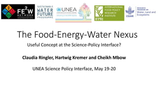 The Food-Energy-Water Nexus
Useful Concept at the Science-Policy Interface?
Claudia Ringler, Hartwig Kremer and Cheikh Mbow
UNEA Science Policy Interface, May 19-20
 