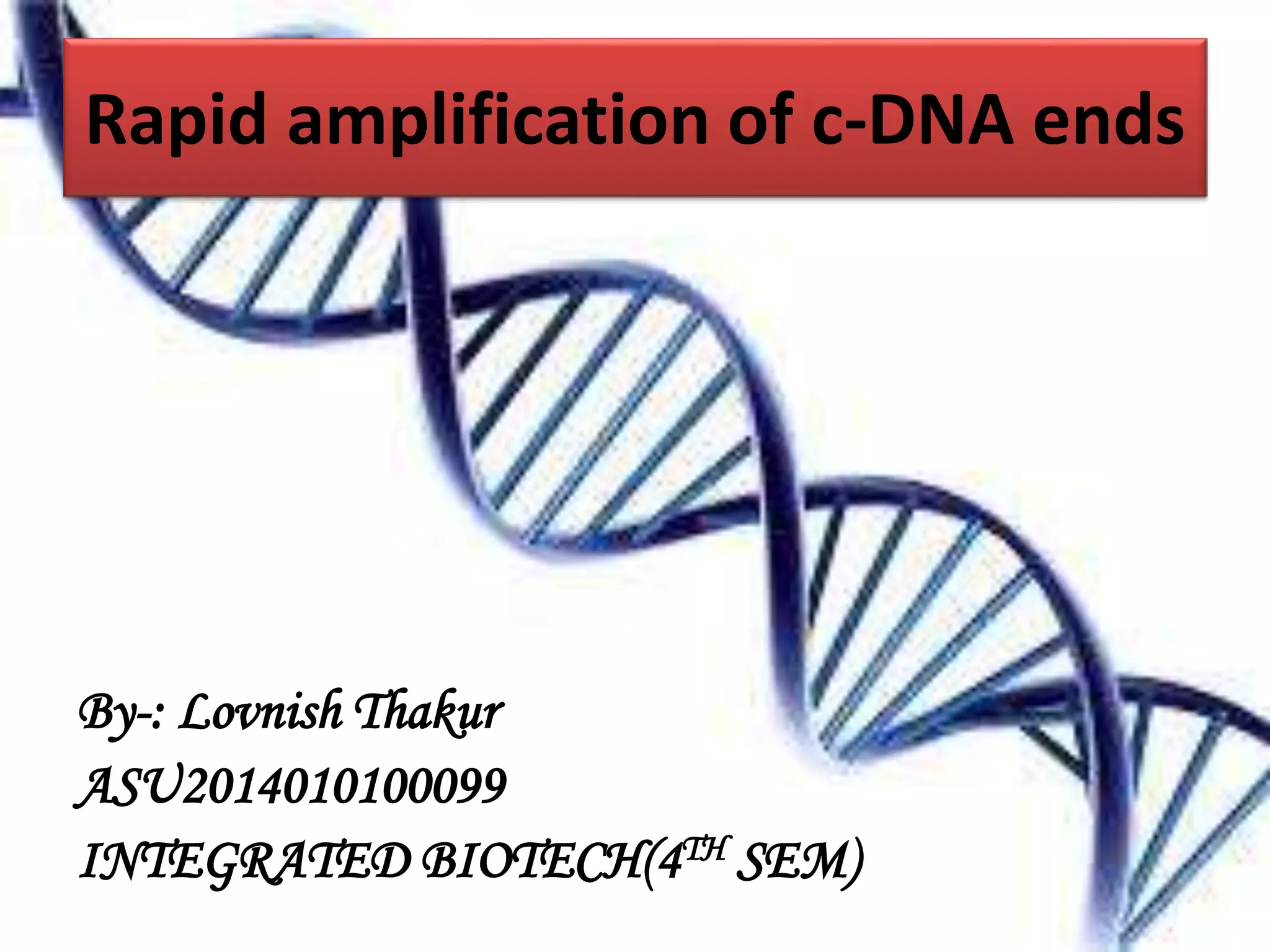 Rapid amplification of c-DNA ends | PPTX