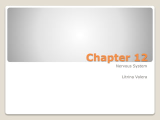 Chapter 12
Nervous System
Litrina Valera
 