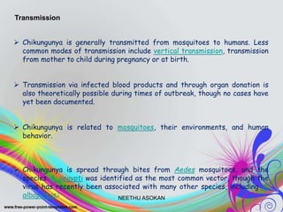 Transmission
 Chikungunya is generally transmitted from mosquitoes to humans. Less
common modes of transmission include vertical transmission, transmission
from mother to child during pregnancy or at birth.
 Transmission via infected blood products and through organ donation is
also theoretically possible during times of outbreak, though no cases have
yet been documented.
 Chikungunya is related to mosquitoes, their environments, and human
behavior.
 Chikungunya is spread through bites from Aedes mosquitoes, and the
species A. aegypti was identified as the most common vector, though the
virus has recently been associated with many other species, including A.
albopictus.[
NEETHU ASOKAN
 