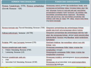 1) HIPOFISIS BAGIAN ANTERIOR
MENGHASILKAN BERBAGAI MACAM HORMON , MISALNYA
:
 