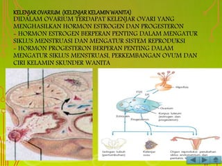 KELENJAR OVARIUM (KELENJAR KELAMINWANITA)
DIDALAM OVARIUM TERDAPAT KELENJAR OVARI YANG
MENGHASILKAN HORMON ESTROGEN DAN PROGESTERON
- HORMON ESTROGEN BERPERAN PENTING DALAM MENGATUR
SIKLUS MENSTRUASI DAN MENGATUR SISTEM REPRODUKSI
- HORMON PROGESTERON BERPERAN PENTING DALAM
MENGATUR SIKLUS MENSTRUASI, PERKEMBANGAN OVUM DAN
CIRI KELAMIN SKUNDER WANITA
 