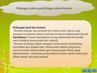 Hubungan sistem syaraf dengan sistem hormon
Hubungan Saraf dan hormon
· Hormon bekerja atas perintah dari sistem saraf. Sistem yang
mengatur kerjasama antara saraf dan hormon terdapat pada daerah
hipotalamus. Daerah hipotalamus sering disebut daerah kendali
saraf endokrin (neuroendocrine control).
· Hormon berfungsi dalam mengatur homeostasis, metabolisme,
reproduksi dan tingkah laku. Homeostasis adalah pengaturan
secara otomatis dalam tubuh agar kelangsungan hidup dapat
dipertahankan. Contohnya pengendalian tekanan darah, kadar gula
dalam darah, dan kerja jantung
 