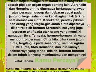 MELAYANG, DUNIA TERLIHAT BEGITU INDAH DAN PERASAAN
MENAKJUBKAN LAIN SAAT JATUH CINTA? TERNYATA, JATUH
CINTA MERUPAKAN PROSES BIOLOGIS DAN REAKSI KIMIAWI
DALAM TUBUH MANUSIA. PERPADUAN REAKSI-REAKSI KIMIA
DARI HORMON-HORMON DALAM SEL-SEL TUBUH INI
MENGHASILKAN REAKSI DAN PERASAAN YANG DISEBUT
DENGAN : CINTA.
MENURUT HELEN FISHER, PENELITI DARI UNIVERSITAS
RUTGERS NEW JERSEY, MENEMUKAN BAHWA TERDAPAT
SETIDAKNYA 3 BAGIAN DALAM TUBUH YANG MAMPU MEMBUAT
SESEORANG MERASA TERTARIK DAN MERASA JATUH CINTA.
BAGIAN ATAU FASE PERTAMA ADALAH PERASAAN TERTARIK
AKIBAT EFEK DARI HORMON TESTOSTERON DAN ESTROGEN
KETIKA MELIHAT PENAMPILAN SESEORANG. PRIA TIDAK
MEMILIKI HORMON ESTEROGEN, SEDANGKAN WANITA
MEMILIKI HORMON ESTEROGEN DAN TESTOSTERON DALAM
JUMLAH KECIL.
FASE KE DUA ADALAH KONDISI DIMANA SESEORANG AKAN
MERASA TERGILA-GILA, KECANDUAN (RINDU) HINGGA TIDAK
DAPAT MEMIKIRKAN HAL LAIN. PADA FASE INI, DARAH
MENGALIR INTENS KE PUSAT OTAK, MENGATUR RASA
BAHAGIA DAN PERASAAN LUAR BIASA DARI HAL YANG
DISEBUT CINTA. KELOMPOK SARAF DAN HORMON
PENGHANTAR SEPERTI ADRENALIN, DOPAMINE,
NOREPINEPHERINE, SEROTONIN JUGA MEMAINKAN PERAN
lebih cepat, mengalirkan darah lebih banyak ke
daerah pipi dan organ organ penting lain. Adrenalin
dan Norepinephrine dipercaya bertanggungjawab
atas perasaan gugup dan debaran cepat pada
jantung, kegelisahan, dan kebahagiaan tak terkira
saat merasakan cinta. Kenekatan, pendek pikiran,
dan orang yang tergila-gila Jatuh cinta dipercaya
dikontrol oleh hormon Serotonin, zat yang juga
berperan aktif pada otak orang yang memiliki
gangguan jiwa. Ternyata, hormon-hormon lah yang
mengontrol perasaan Cinta kita. Jika kamu jatuh
cinta, tergila-gila pada seseorang, sampai ngirim
SMS Cinta, SMS Romantis, dan lain-lainnya,
sebenarnya yang terjadi adalah, hormon-hormon
dalam tubuh lah yang membuatmu dan mengontrol
kelakuanmu. Kamu Percaya?
 