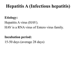 Hepatitis A (Infectious hepatitis)
Etiology:
Hepatitis A virus (HAV).
HAV is a RNA virus of Entero virus family.
Incubation period:
15-50 days (average 28 days)
 