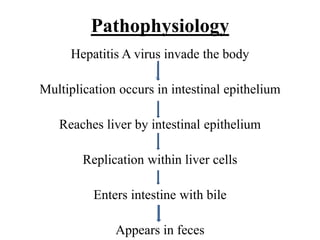 Pathophysiology
Hepatitis A virus invade the body
Multiplication occurs in intestinal epithelium
Reaches liver by intestinal epithelium
Replication within liver cells
Enters intestine with bile
Appears in feces
 