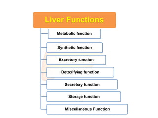 Liver Functions
Metabolic function
Synthetic function
Excretory function
Detoxifying function
Secretory function
Storage function
Miscellaneous Function
 