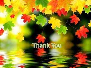 uterine fibroids presentation power point