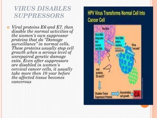 VIRUS DISABLES
SUPPRESSORS
 Viral proteins E6 and E7. then
disable the normal activities of
the women's own suppressor
proteins that do “Damage
surveillance” in normal cells.
These proteins usually stop cell
growth when a serious level of
unrepaired genetic damage
exits. Even after suppressors
are disabled in women's
cervical cancer cells, it usually
take more then 10 year before
the affected tissue becomes
cancerous
 
