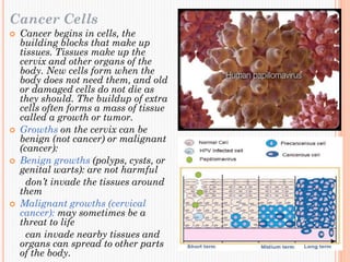 Cancer Cells
 Cancer begins in cells, the
building blocks that make up
tissues. Tissues make up the
cervix and other organs of the
body. New cells form when the
body does not need them, and old
or damaged cells do not die as
they should. The buildup of extra
cells often forms a mass of tissue
called a growth or tumor.
 Growths on the cervix can be
benign (not cancer) or malignant
(cancer):
 Benign growths (polyps, cysts, or
genital warts): are not harmful
don’t invade the tissues around
them
 Malignant growths (cervical
cancer): may sometimes be a
threat to life
can invade nearby tissues and
organs can spread to other parts
of the body.
 