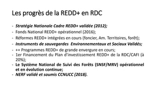 Les progrès et l’impact de la REDD+ en RDC | PDF