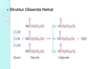  Struktur Gliserida Netral
 