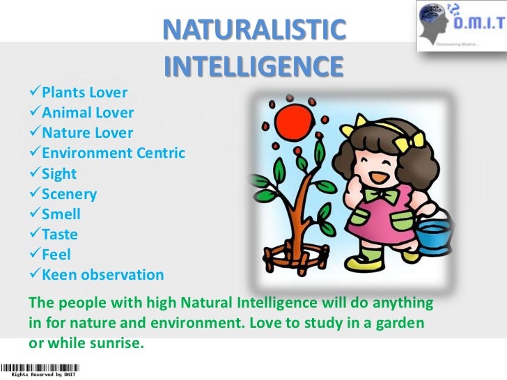 naturalistic intelligence
